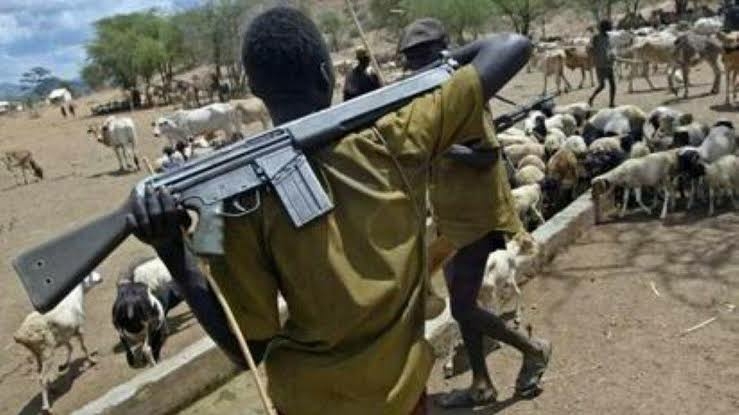 Again Suspected Herdsmen Kill 4 In Benue Community 1 images 2022 10 30T203204.526