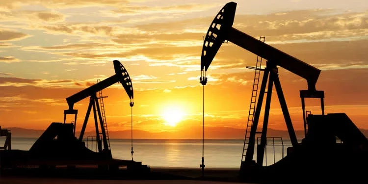 Oil