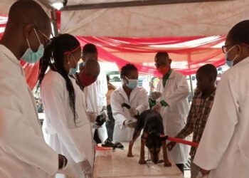 Tackling Rabies In Nigeria Through Massive Vaccination