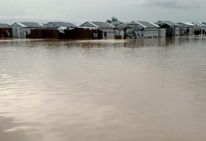 Floods Ravage Communities In Rivers, Delta 1 images 46