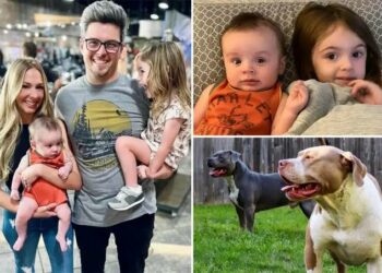 Family Dogs Kill 2 Children, Injure Mom