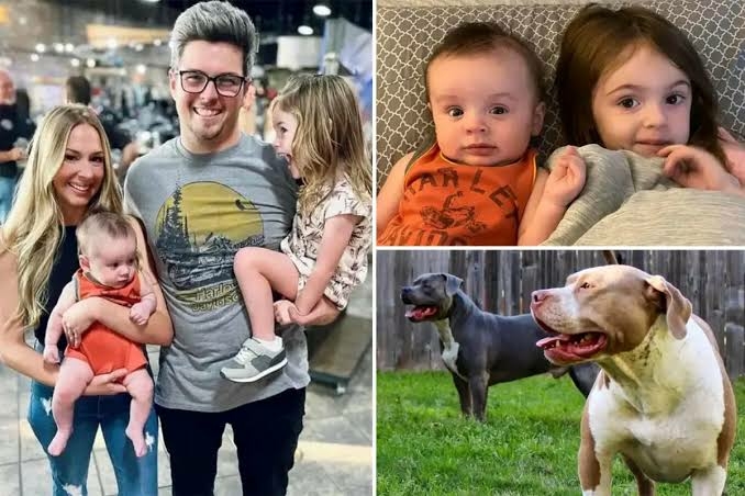 Family Dogs Kill 2 Children, Injure Mom 1 images 67