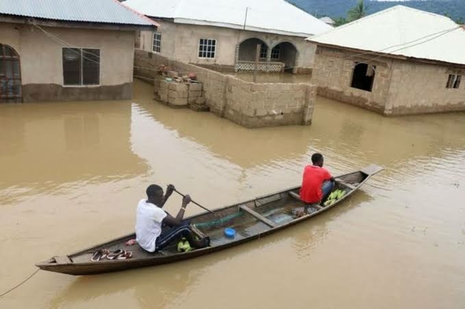 Flooding: IMF Seeks Assistance For Farmers, Infrastructure To Curb Food Insecurity In Nigeria 1 images 85