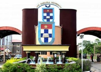 121 ABUAD Graduating Students Bag First Class