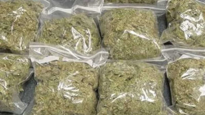 Drug Traffickers Bag 8-year Jail Terms For Smuggling 4.25kg Of Indian Hemp 1 indian hemp jpg