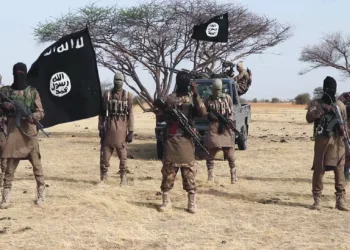 ISWAP Kills 6, Seizes Weapons In Boko Haram Enclave