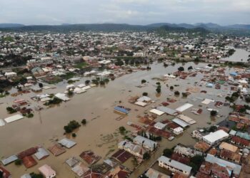 Pathetic Stories Washed Up By Floods