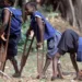 2 Years Of Polio Free: Emeka Offor Urges Sustenance Of Gains