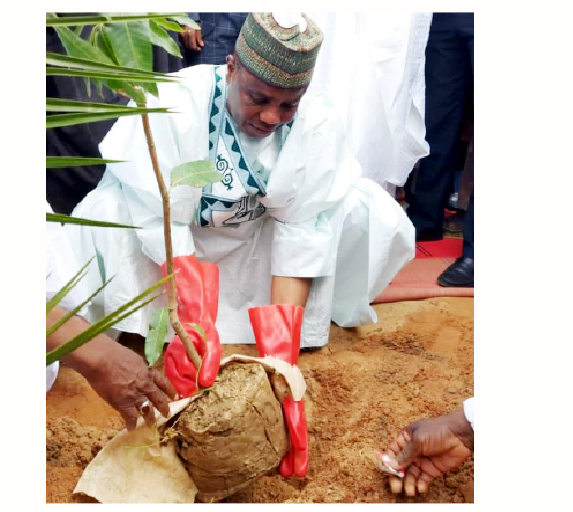 Sokoto NUJ Champions ‘Go Green Project’ To Combat Desert Encroachment 1 tambuwal