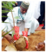 Sokoto NUJ Champions ‘Go Green Project’ To Combat Desert Encroachment 5 Sokoto NUJ Champions ‘Go Green Project’ To Combat Desert Encroachment
