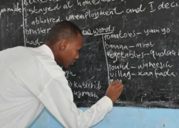 Banditry: Niger Teachers Decry Closure Of Schools