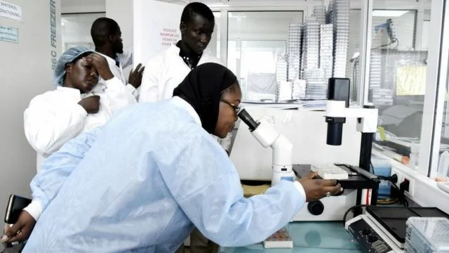 Stakeholders Ask Federal Govt To Implement 15% Budgetary Allocation To Health 1 111108268 gettyimages 1198738669 jpg