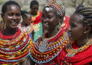 African Must Take Charge Of Own Narratives – Experts