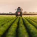 Agribusiness: Group Canvasses Increased Youth Inclusion 5 Agribusiness: Group Canvasses Increased Youth Inclusion