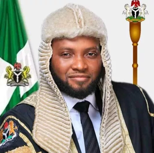 Court Orders Arrest Of Imo Deputy Speaker Over Alleged N785m Fraud 1 Amarachi Iwuanyanwu jpg