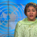 UN Deputy Scribe Lauds Nigeria’s Participation In COP 27 5 UN Deputy Scribe Lauds Nigeria’s Participation In COP 27