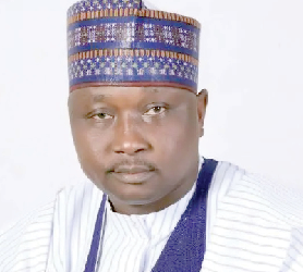 Doguwa et al: Thorns In Democracy’s Flesh