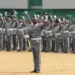 Customs Seizes Indian Hemp, Generates N100m In Kebbi