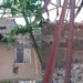 One Dies, Others Injured As Building Collapses In Oyo