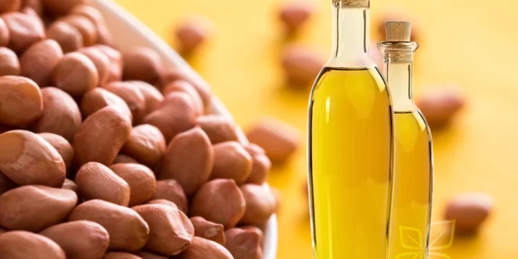 Groundnut Oil Production Business