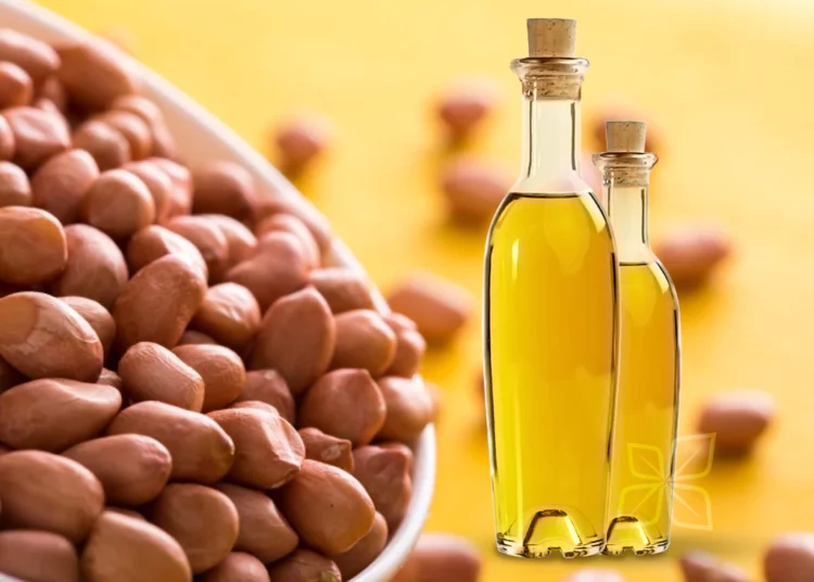 Groundnut Oil Production Business