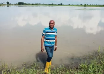 Benue Farmer Recounts Loss As Flood Covers Farmland