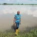 Benue Farmer Recounts Loss As Flood Covers Farmland