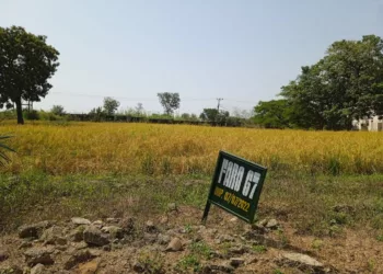 NASC Seeks Farmers’ Adoption Of Flood-Tolerant Rice Varieties 