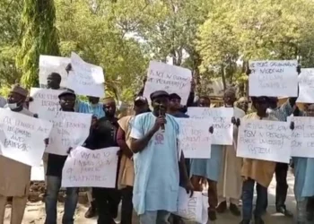 ASUU Fingers Ngige In Half-Salary Payment To Members As Union Begins Nationwide Protests