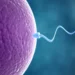 Infertility: Expert Advocates Proper Diagnosis To Improve Treatment