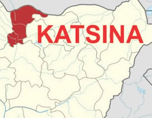 How APC Is Leveraging On Rift In Katsina PDP 1 Katsina