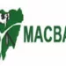 4 Herders, 40 Cows Killed In Nasarawa Airstrikes – MACBAN