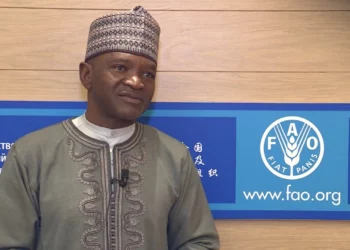 Tackling Nigeria’s Food, Nutrition Insecurity