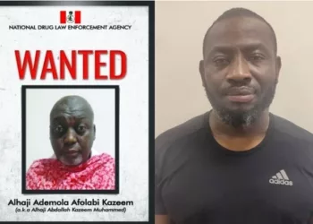 NDLEA Seals Drug Barons’ 7 Mansions, Blocks N217m In Bank Account