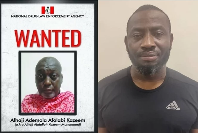 NDLEA Seals Drug Barons’ 7 Mansions, Blocks N217m In Bank Account 1 NDLEA Alhaji Abdallah Kazeem Muhammed jpg