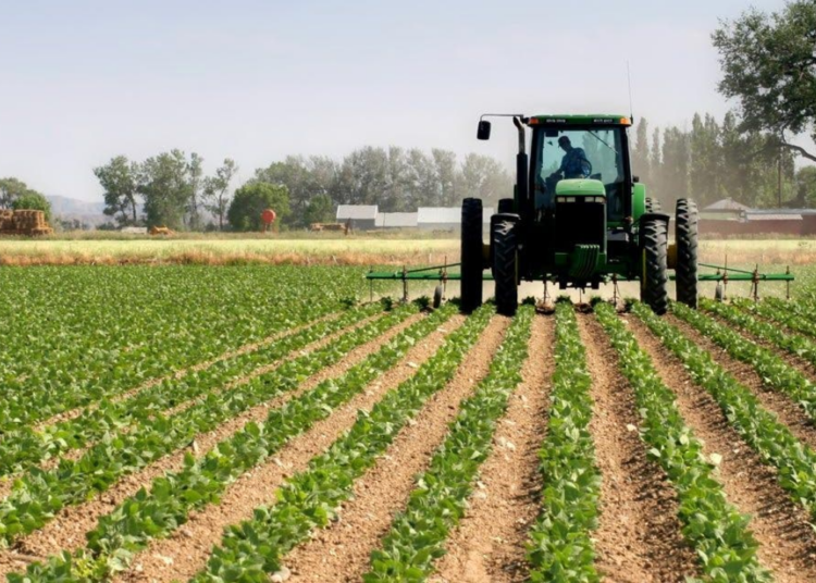 Ekiti, Others Urged To Harness Huge Potential In Agric Sector 1 Osinbajo 14 1