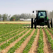 Ekiti, Others Urged To Harness Huge Potential In Agric Sector