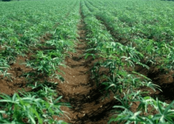 Nasarawa Engages Stakeholders On Special Agro-Industrial Zone