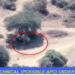 NAF Bombs ISWAP Training Camp In Lake Chad, Kills 24 Terrorists
