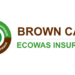 ECOWAS Council Charges Nigeria, 8 Others On Brown Card Automation