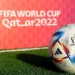 2022 World Cup: Obey Qatar’s Laws, Nigerian Fans Warned