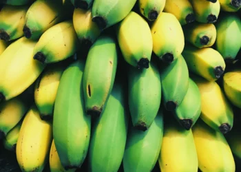 Why You Should Avoid Artificially Ripened Fruits