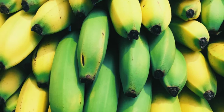 Avoid Artificially Ripened Fruits