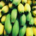 Oyo Inaugurates Joint Taskforce To Curb Sale Of Chemically Ripened Fruits 5 Why You Should Avoid Artificially Ripened Fruits