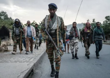 Peace In The Horn Of Africa