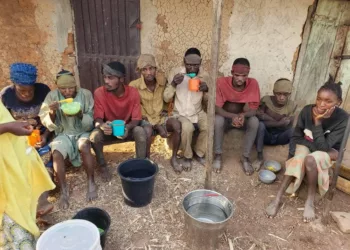 Troops Raid Bandits’ Camps, Rescue 9, Recover 90 Cows, Others In Kaduna   