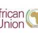AU Moves For Well-Funded Standby Force To Tackle Terrorism