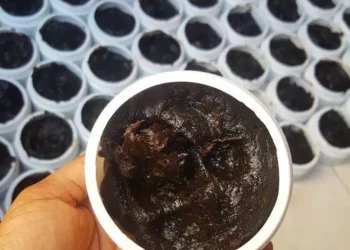 Making Fortune From Black Soap Business
