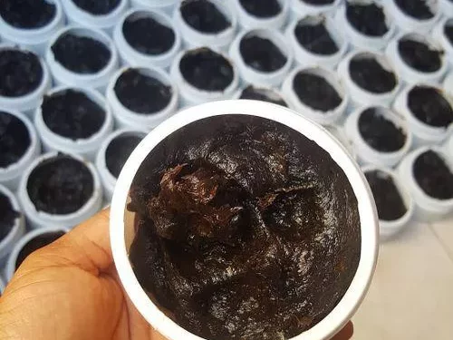 Black Soap