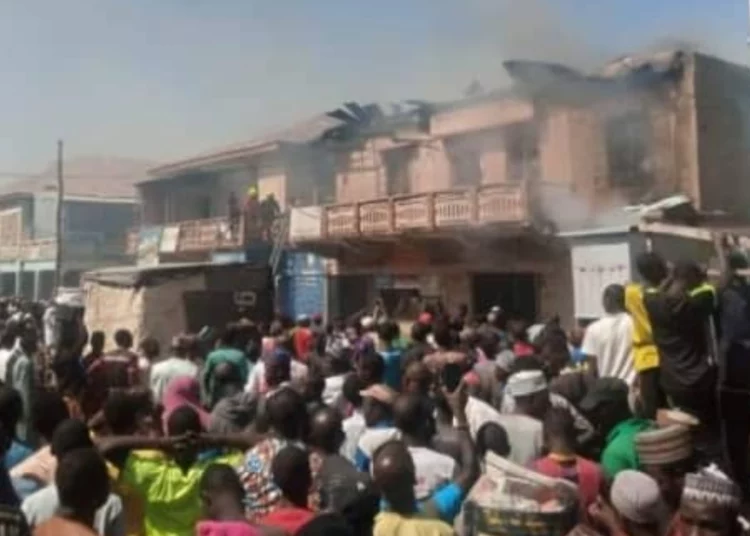 Fire Guts Kano